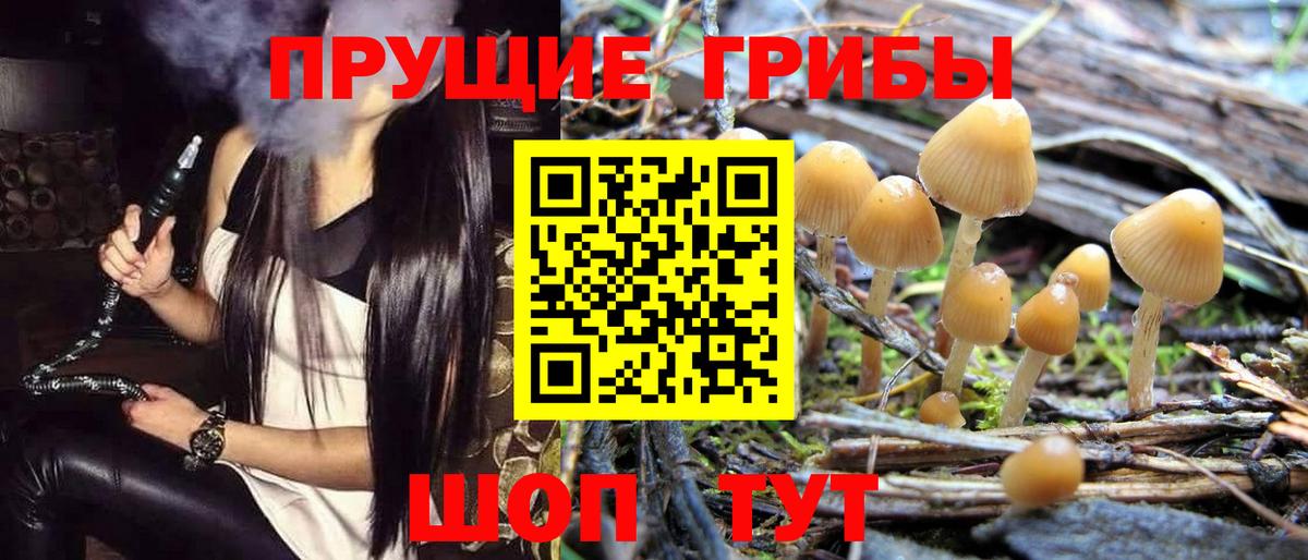 Галлюциногенные грибы мухоморы  Вход с VPN  Дедовск 
